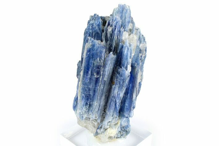 Vibrant Blue Kyanite Crystals In Quartz - Brazil #368775